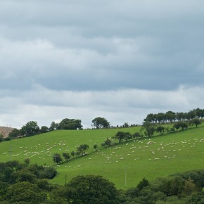 Cardigan Bay