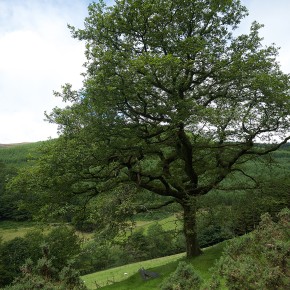 Snowdonia National Parc