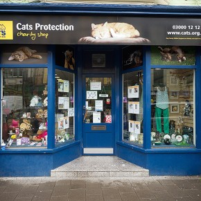 Cats Protection - Charity Shop