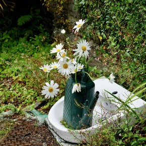 Décoration florale au jardin