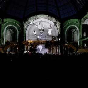 Wim Wenders au Grand Palais