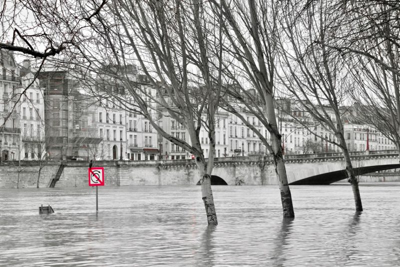 Crue seine 2018