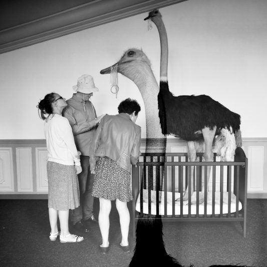 Philippe Pasqua - Domaine de Chamarande